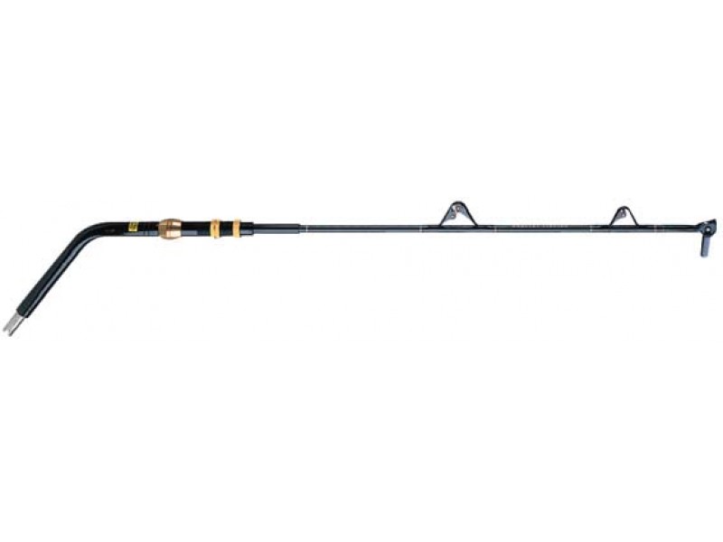 cg-abf-canne-kristal-fishing.jpg