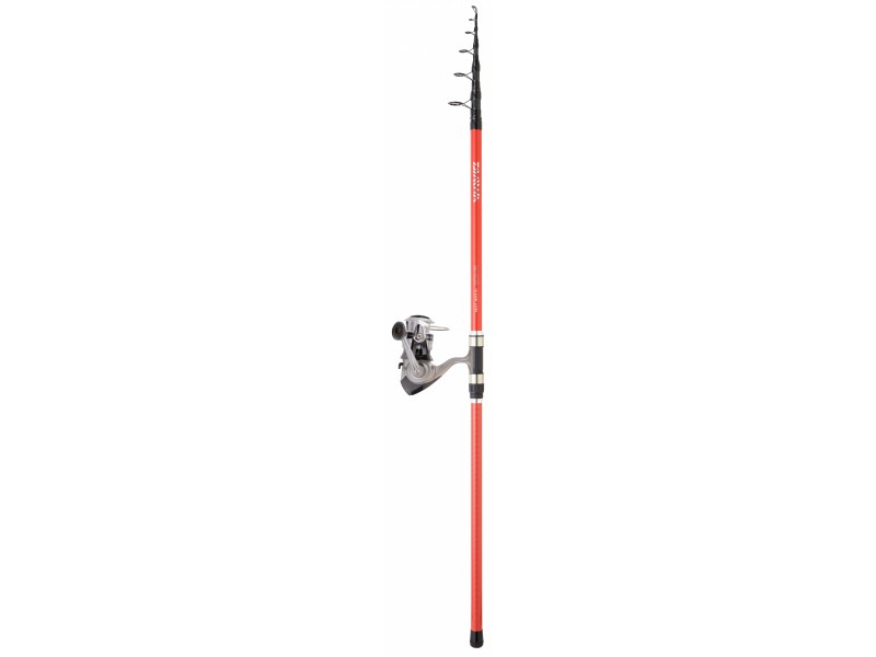 ensemble-daiwa-set-tele-surf-x5.jpg