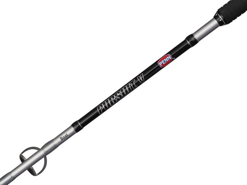 Ensemble Penn Pursuit V Boat Spinning Combo
