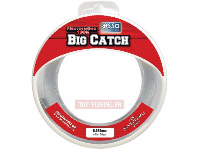 fil-fluorocarbone-asso-big-catch-45m.jpg
