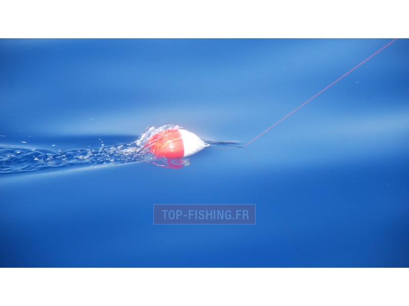 flotteur-rapide-top-sea-release-tuna-plug-2.jpg