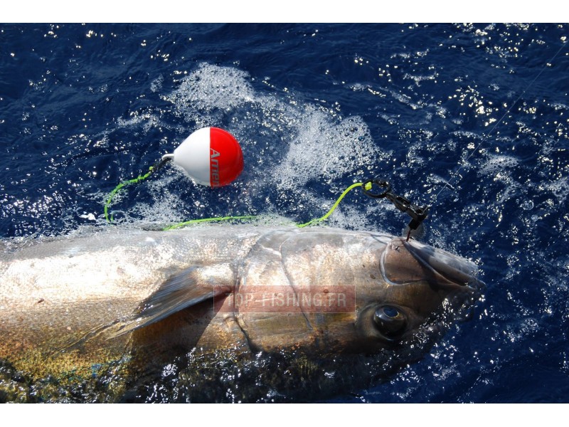 flotteur-rapide-top-sea-release-tuna-plug-3.jpg