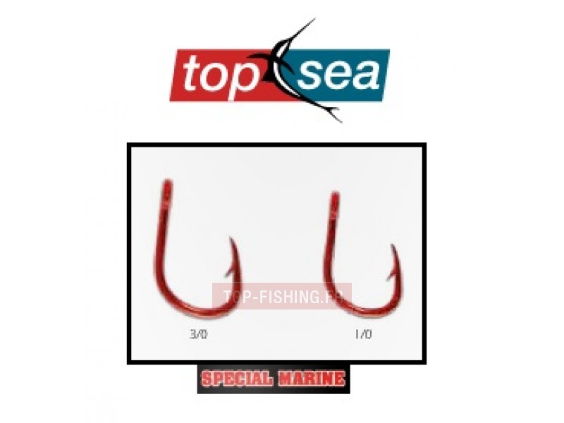 hame-on-top-sea-red-dentex.jpg