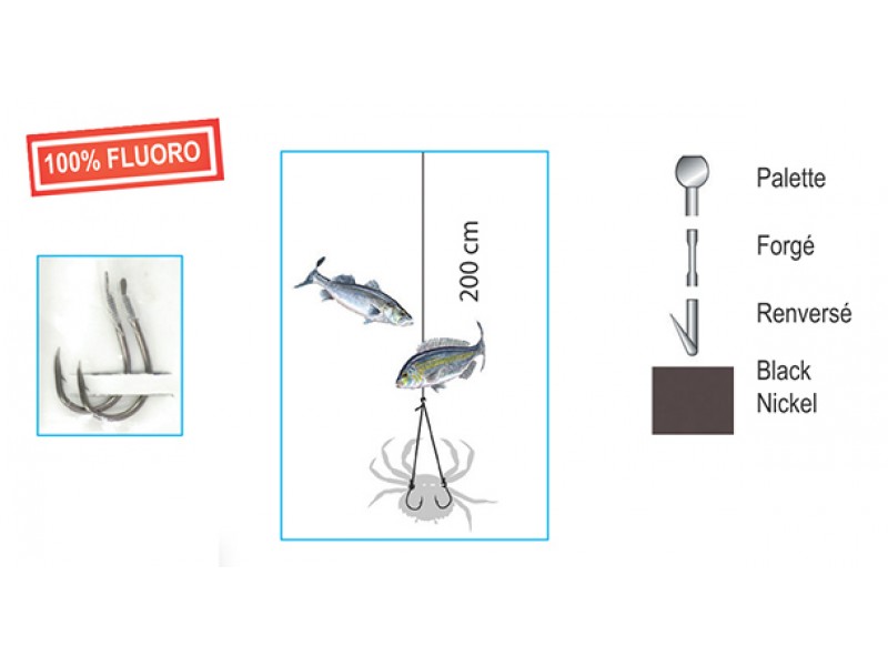 hame-ons-montes-flashmer-special-crabe-wishbone-2.jpg