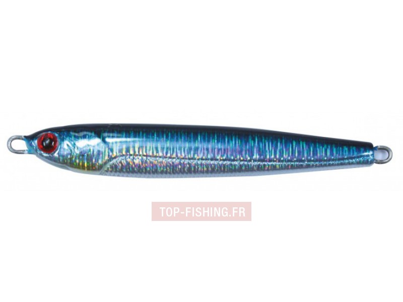 jig-metal-spot-couleur-dos-bleu-db.jpg
