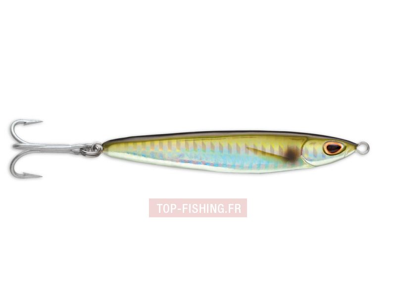 jig-williamson-gomame-aji.jpg