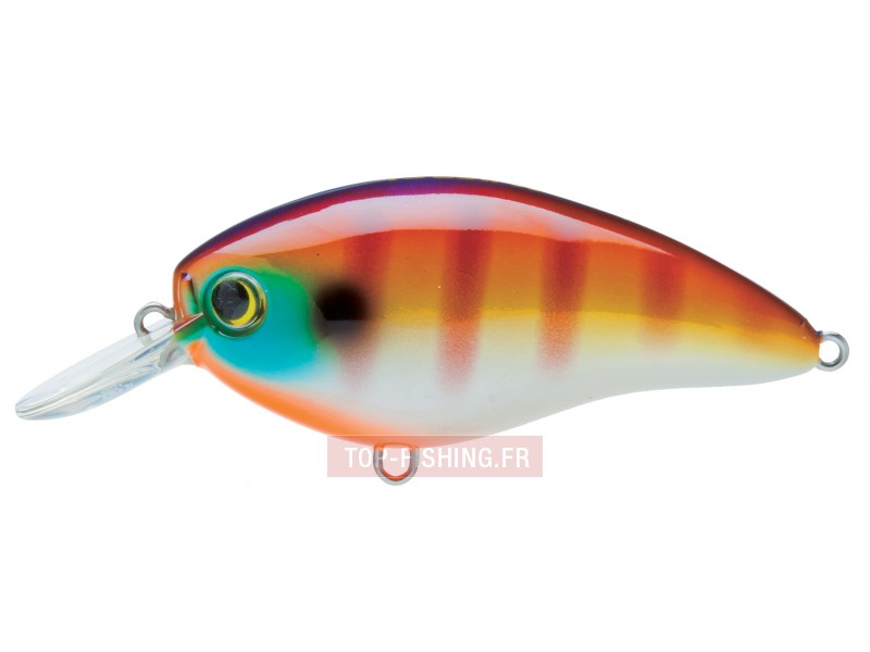leurre-3ds-crank-sr-couleur-bluegill-bg-.jpg