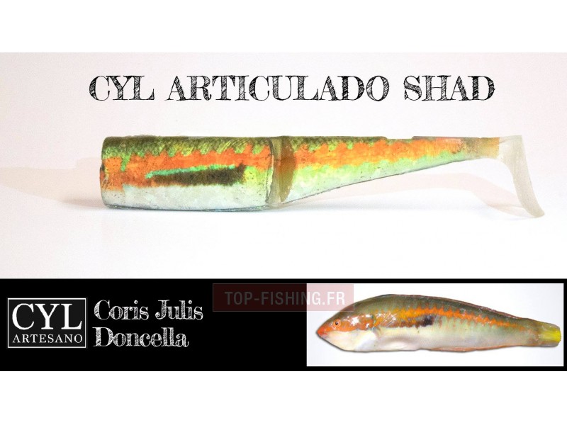 leurre-articulado-shad-170mm-girelle.jpg