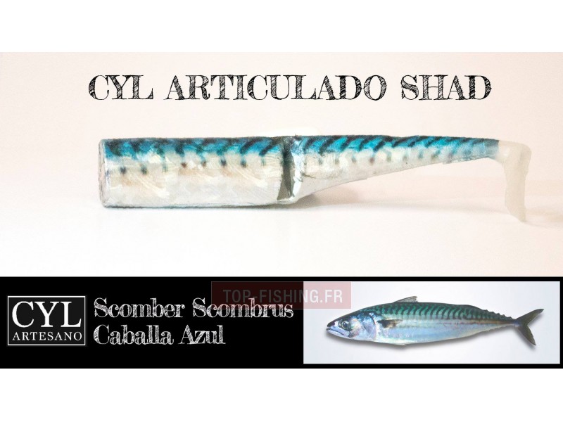 leurre-articulado-shad-170mm-maquereau-bleu.jpg
