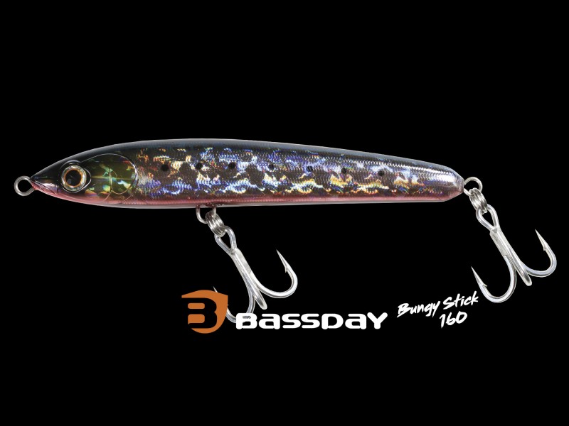 leurre-bassday-bungy-pencil-160mm-10.jpg