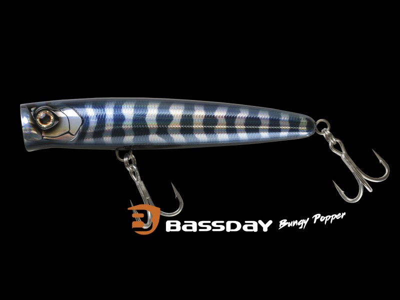 leurre-bassday-bungy-popper-160mm-9.jpg