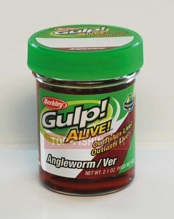 leurre-berkley-gulp-alive-angle-worm-5-cm-2.jpg