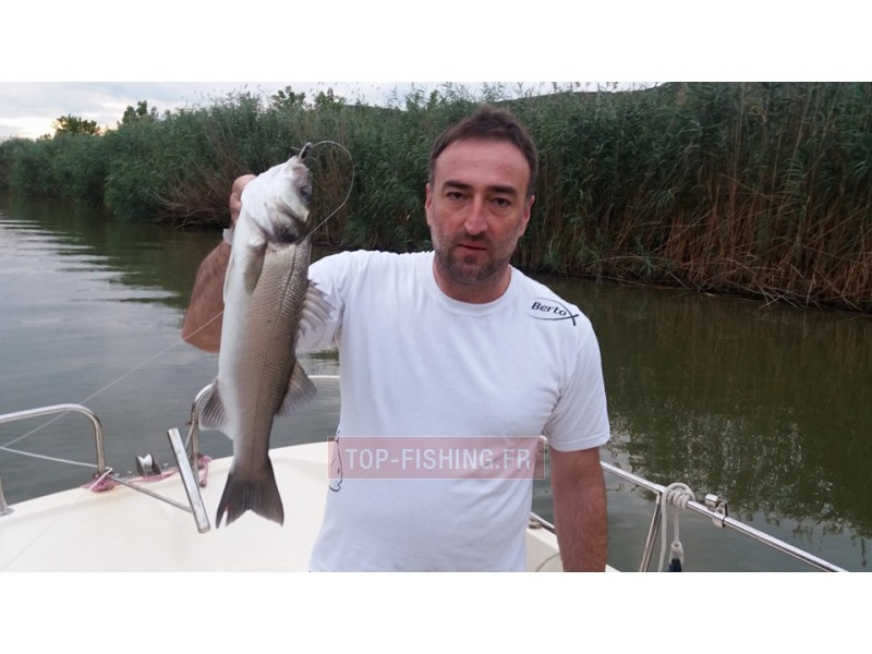 leurre-bertox-sea-bass-candy-11cm-par-2-3.jpg