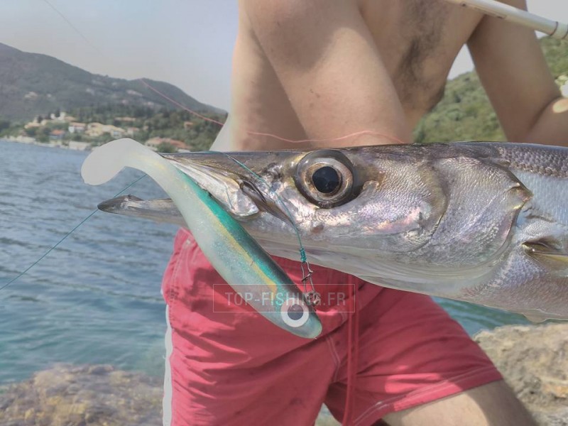 leurre-bertox-sea-bass-candy-9cm-par-3-2.jpg