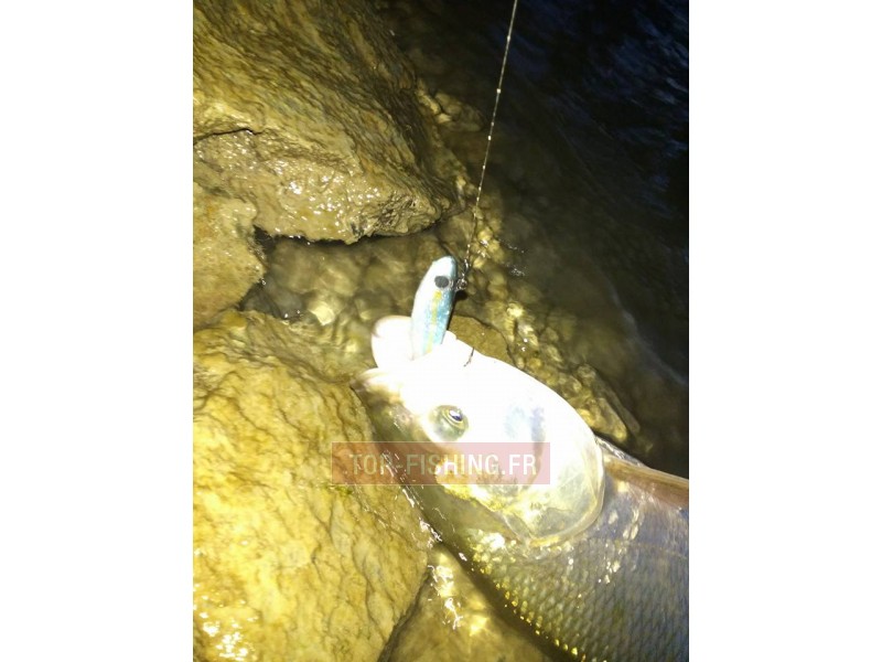 leurre-bertox-sea-bass-candy-9cm-par-3-6.jpg