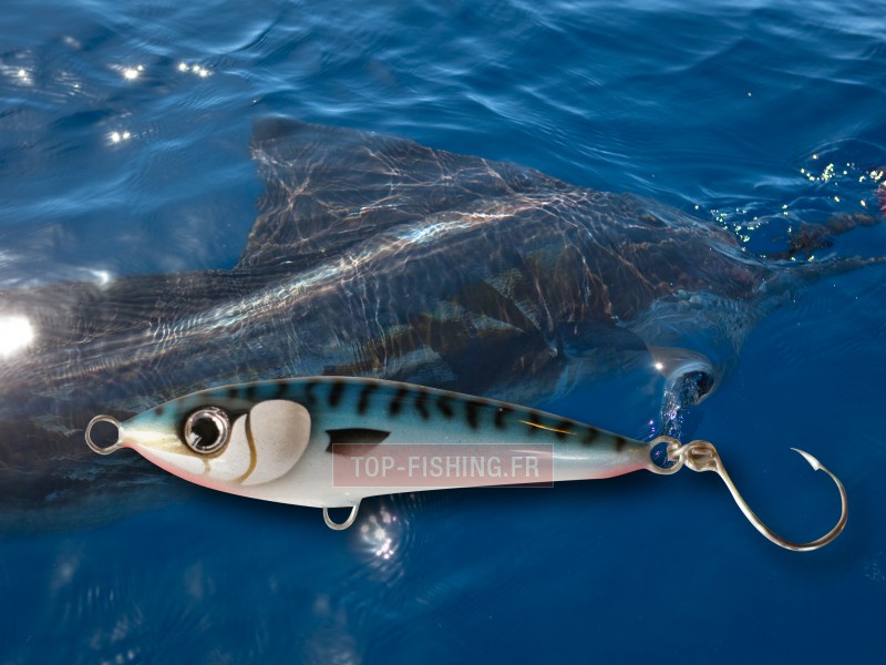 leurre-bertox-tuna-10-cm-30gr-madagascar.jpg