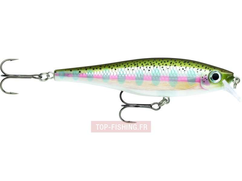 leurre-bx-minnow-couleur-rt.jpg