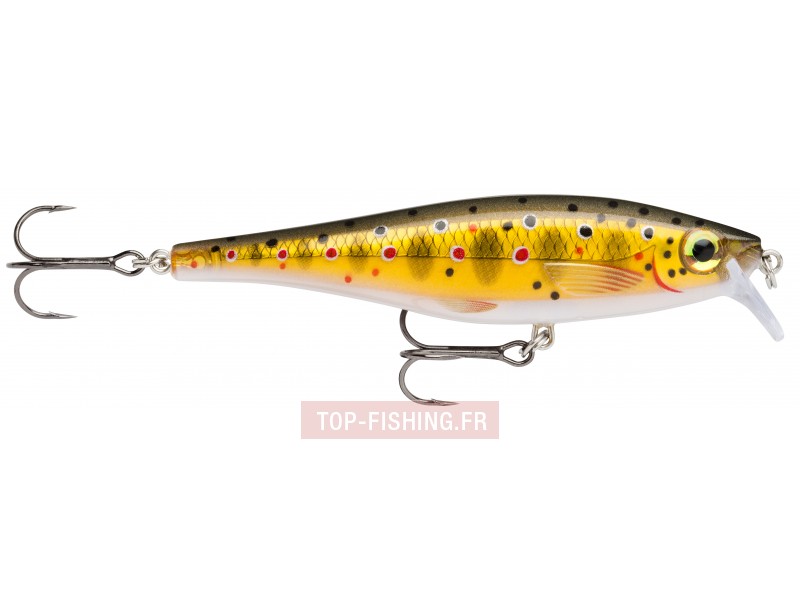 leurre-bx-minnow-couleur-tr.jpg