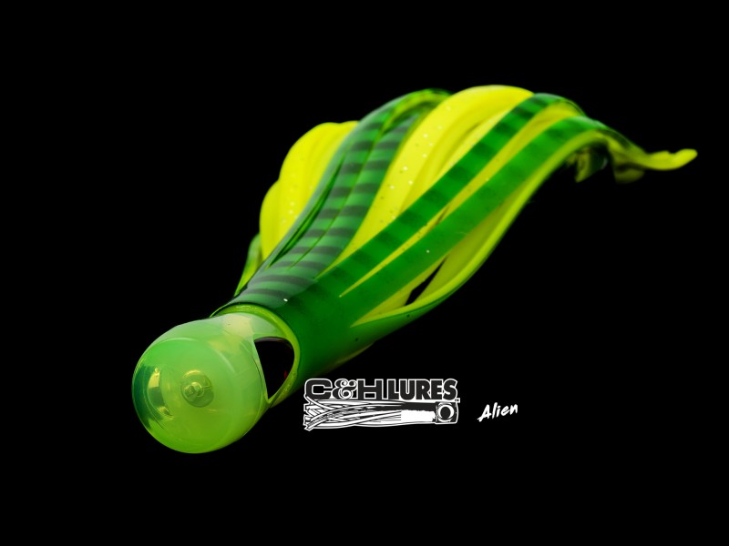 leurre-c-h-lures-alien-190-main.jpg