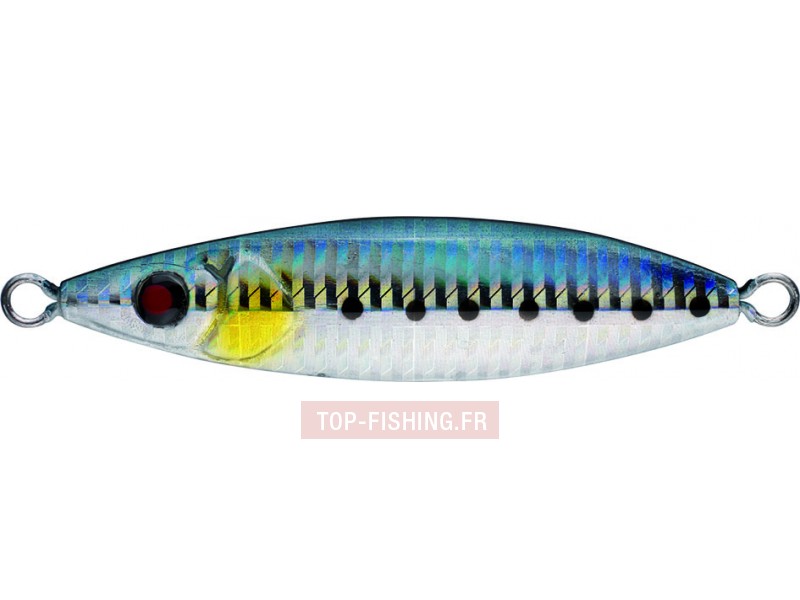 leurre-daiwa-d-slow-jig-maiwashi.jpg