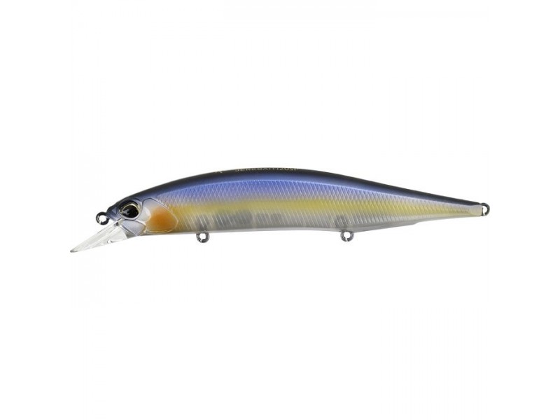 leurre-duo-realis-jerkbait-120-sp-ccc3172.jpg