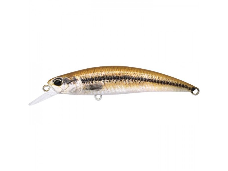 leurre-duo-ryuki-95-sw-3-accz069.jpg