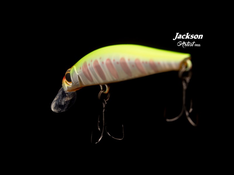 leurre-jackson-artist-fr55-main-2.jpg