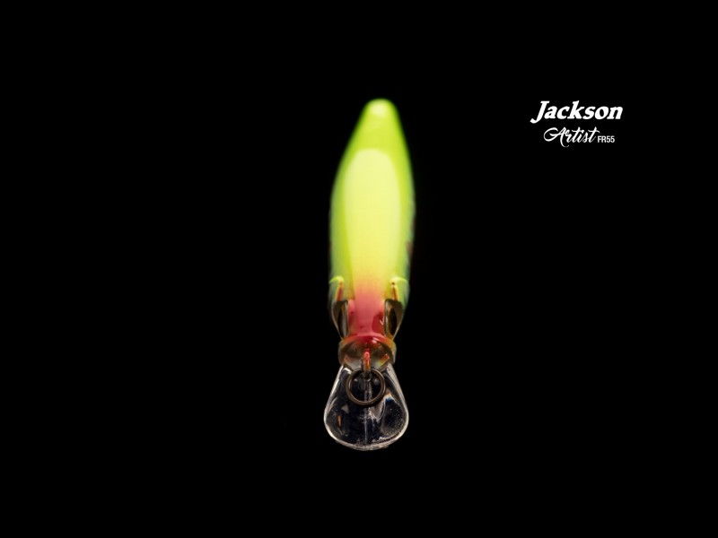 leurre-jackson-artist-fr55-main-3.jpg
