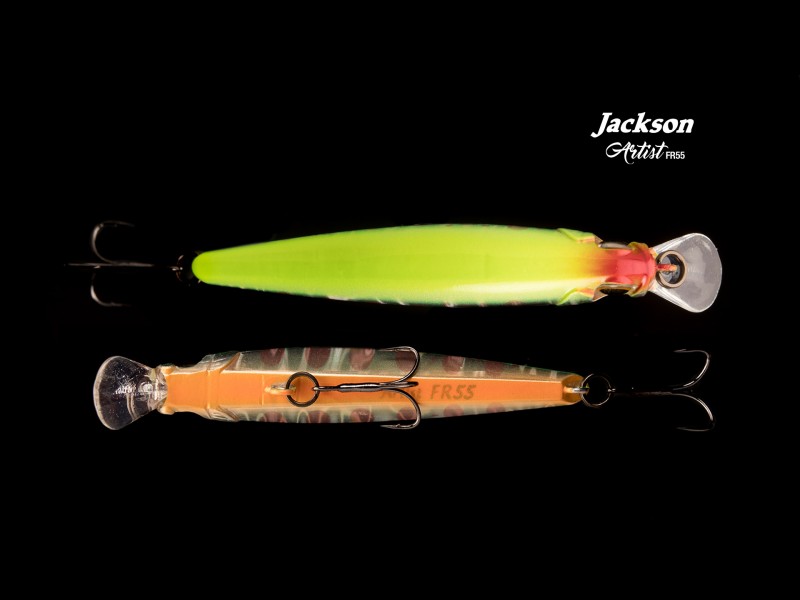 leurre-jackson-artist-fr55-main-4.jpg