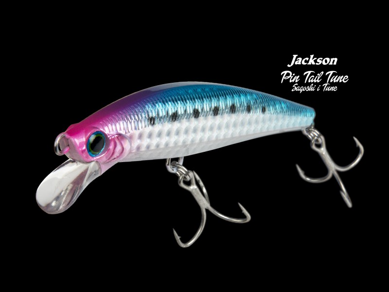 leurre-jackson-pin-tail-sagoshi-tune-90mm-7.jpg
