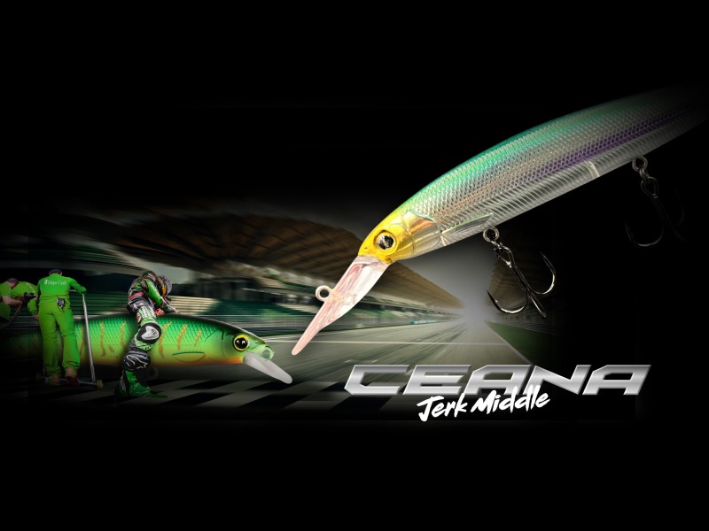 leurre-major-craft-ceana-jerk-middle-110mm-17.jpg