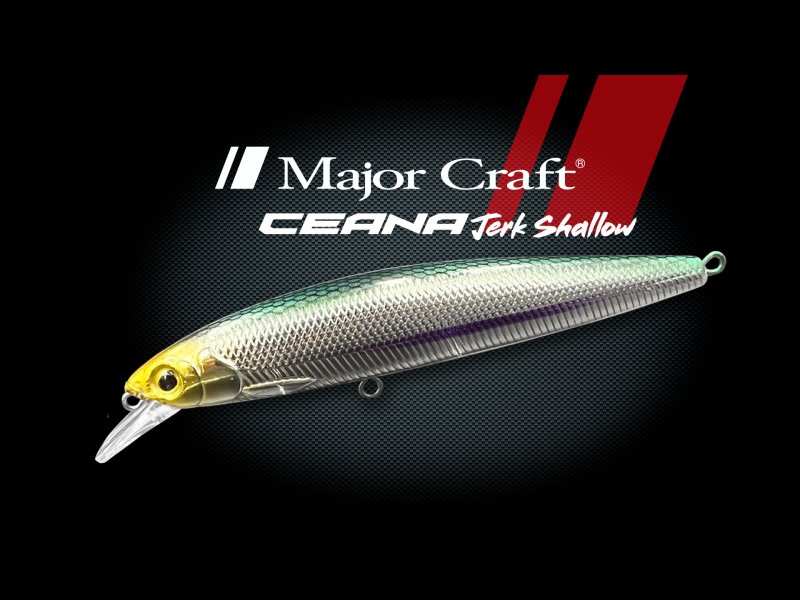 leurre-major-craft-ceana-jerk-shallow-110mm-16.jpg