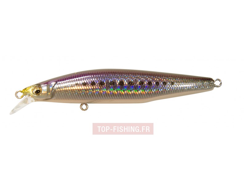 leurre-marine-gang-90-s-couleur-gg-iwashi.jpg