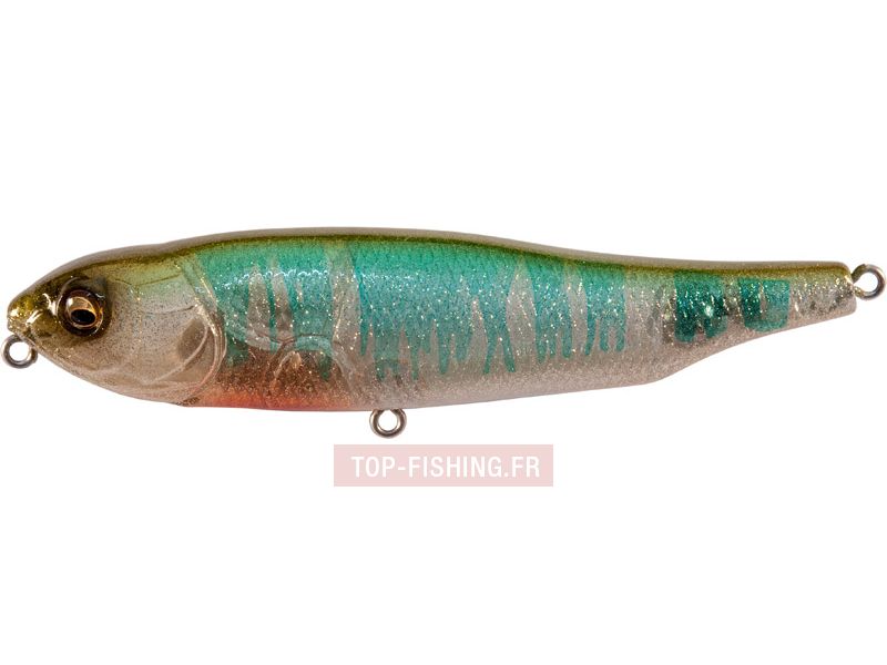 leurre-megabass-giant-dog-x-oikawa-jpg.jpg