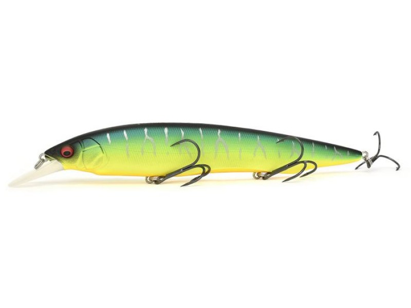 leurre-megabass-kanata-1-7.jpg
