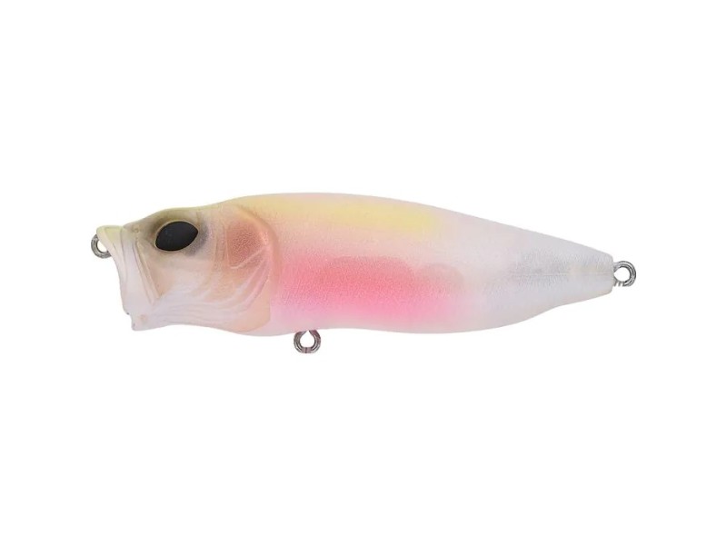 Leurre Megabass Pop Max_Baby_Kingyo