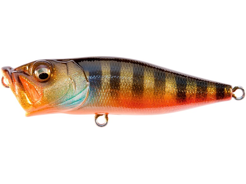 leurre-megabass-pop-x-13-glxitogill.jpg
