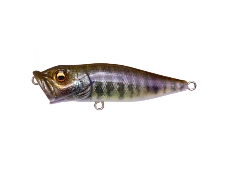 leurre-megabass-pop-x-21-fa-gill.jpg