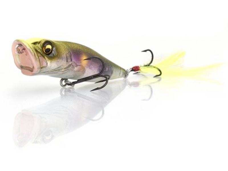 leurre-megabass-pop-x-24.jpg