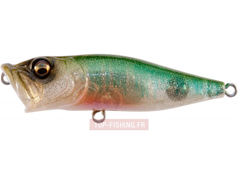 leurre-megabass-pop-x-glx-oikawa.jpg