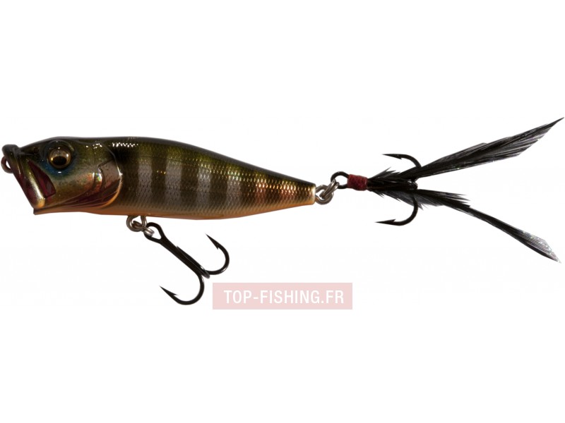 leurre-megabass-pop-x.jpg