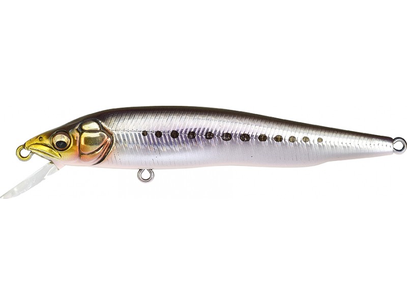 leurre-megabass-vision-95-gg-iwashi.jpg