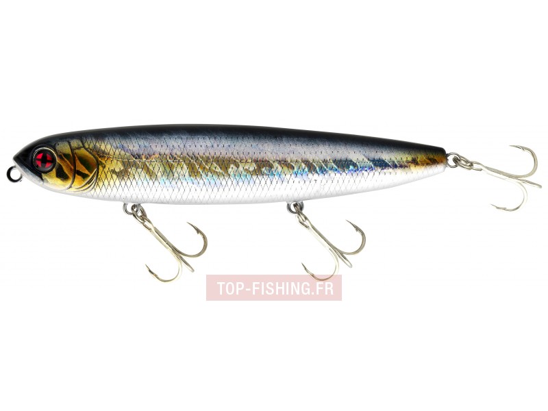 leurre-naja-125-f-couleur-aurora-minnow-a06-.jpg