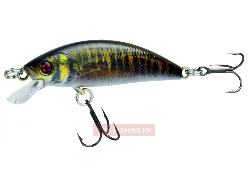 leurre-phoxy-minnow-hw-40-s-couleur-real-life-vairon-rl07-.jpg