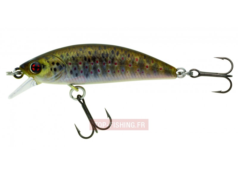 leurre-phoxy-minnow-hw-couleur-rl04.jpg