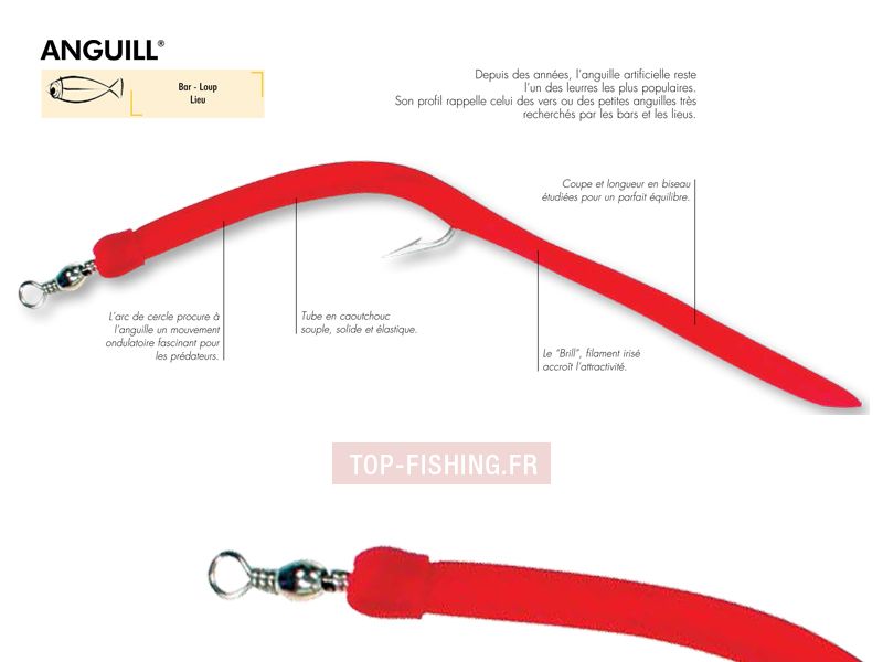leurre-ragot-anguill-normande-fiche-technique.jpg