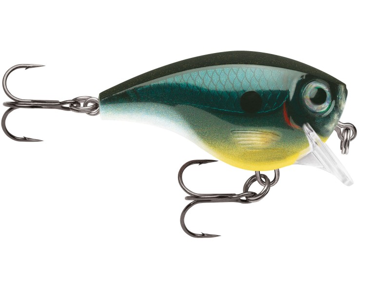 leurre-rapala-bx-brat-50mm-3-cbn.jpg