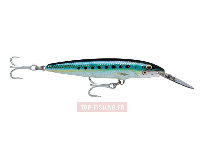leurre-rapala-countdown-magnum-srd.jpg