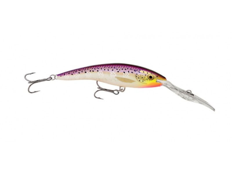 leurre-rapala-deep-tail-dancer-110mm-pd.jpg