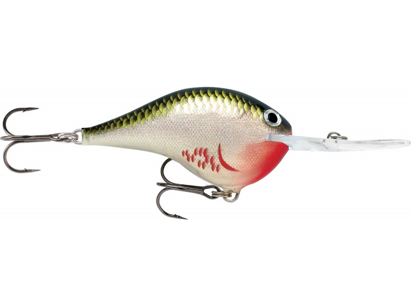 leurre-rapala-dt-dives-to-series-50mm-8-bos.jpg